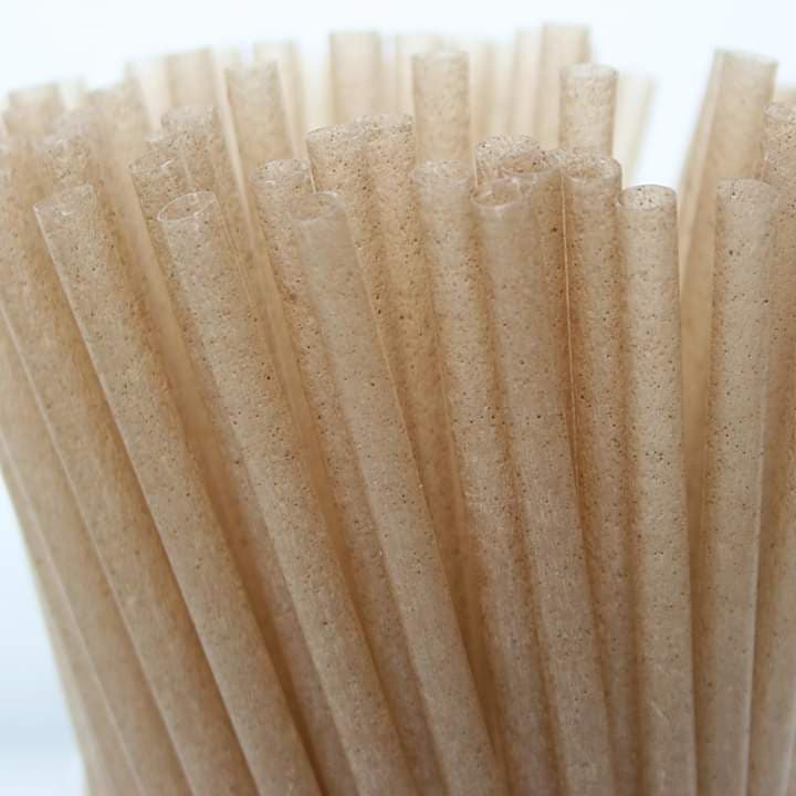 Straight straws made from agave unwrapped 100 pieces  Free Shipping ⭐⭐⭐⭐⭐
